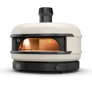 GozneyDome1
